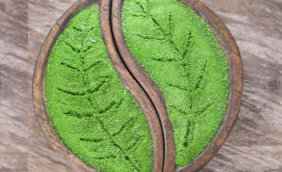 Moringa Leaves Powder Ingreens